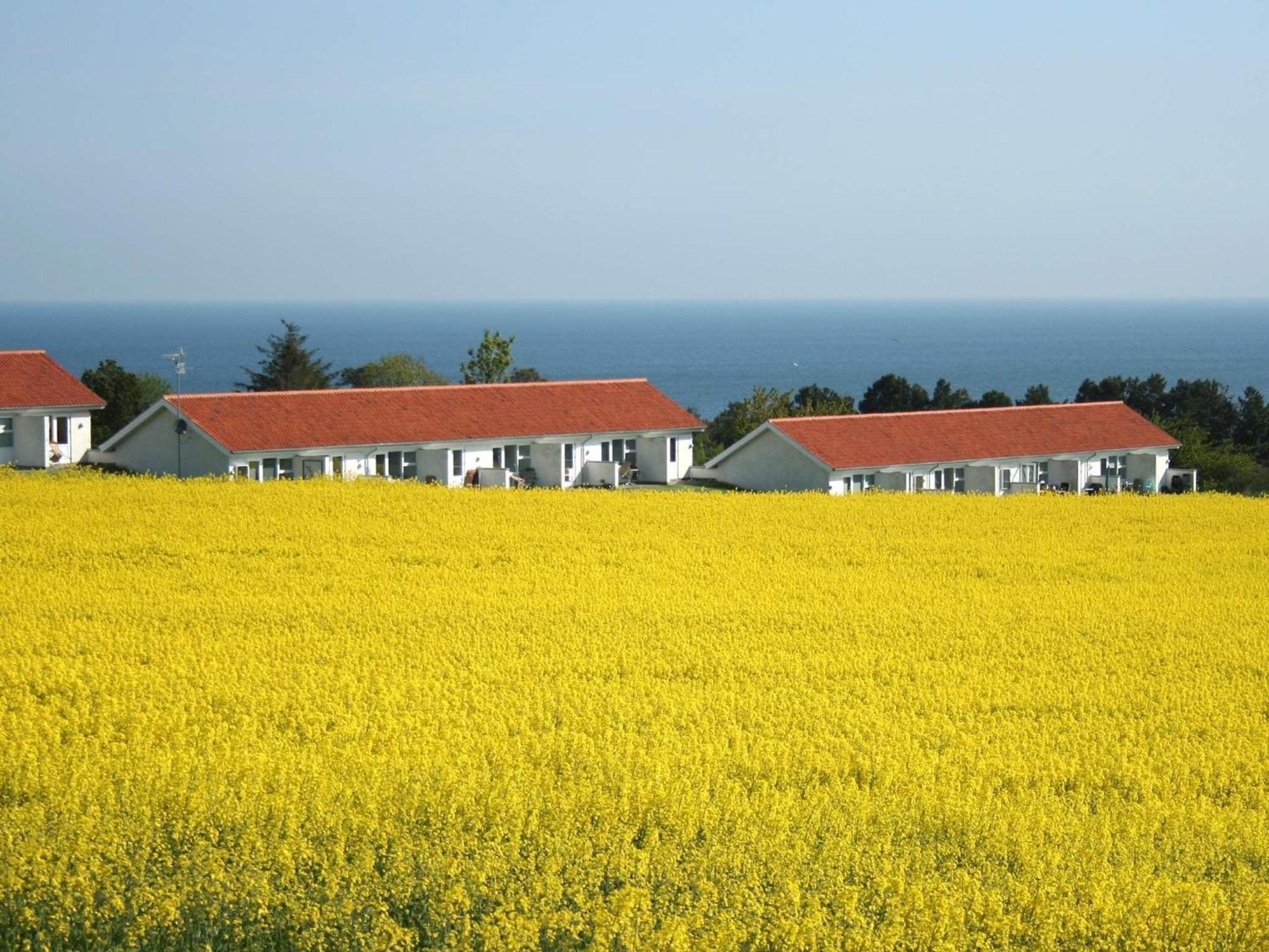 2 Person Holiday Home In Allinge Esterno foto